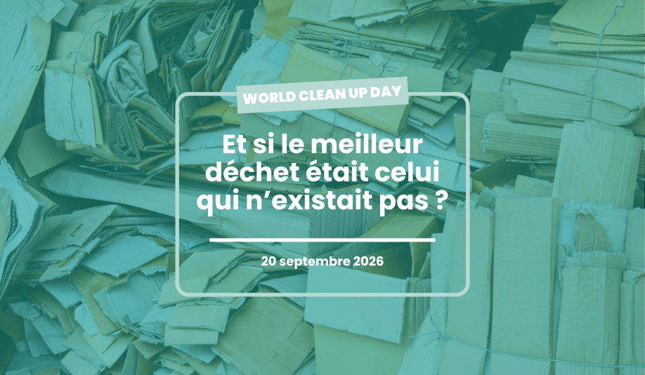 World clean up Day